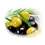 Zeytin & Zeytin Yağları